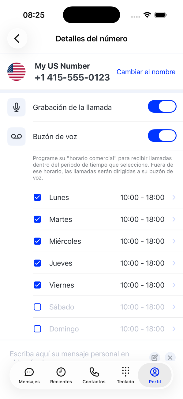Pantalla Detalles del número del número principal, con los interruptores Grabación de la llamada y Buzón de voz y el horario comercial por día